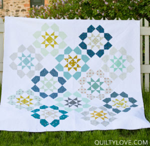 Dozen Roses Quilt