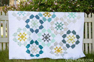 Dozen Roses Quilt