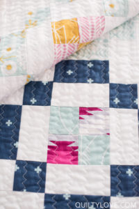 Jelly Rings Quilt