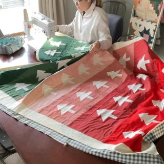 Tree Rows is almost ready for you! I quilted this up over the weekend.  I went with a one inch crosshatch quilting design.

▪️Start by marking 45 degree lines in one direction using a Hera marker. 
▪️And then repeat in the opposite direction.
▪️I like to mark every three inches to keep my lines super straight - then I’ll fill in between using my walking foot guide. 

▪️Quilt pattern - Tree Rows- in the shop on 11/20
▪️ Fabrics - Pure Solids by @artgalleryfabrics :  Hunter Fields, Eucalyptus, Blushing, Cinnamon, Desert Dunes, Ruby

#quiltylove #treequilt #treerowsquilt #christmasquilt #machinquilting #artgalleryfabrics #solidsquilts