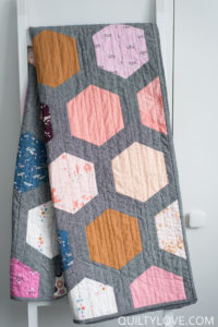 hexie framed quilt