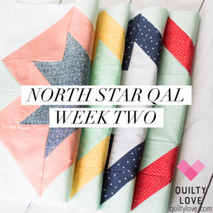 North Star quilt along week two